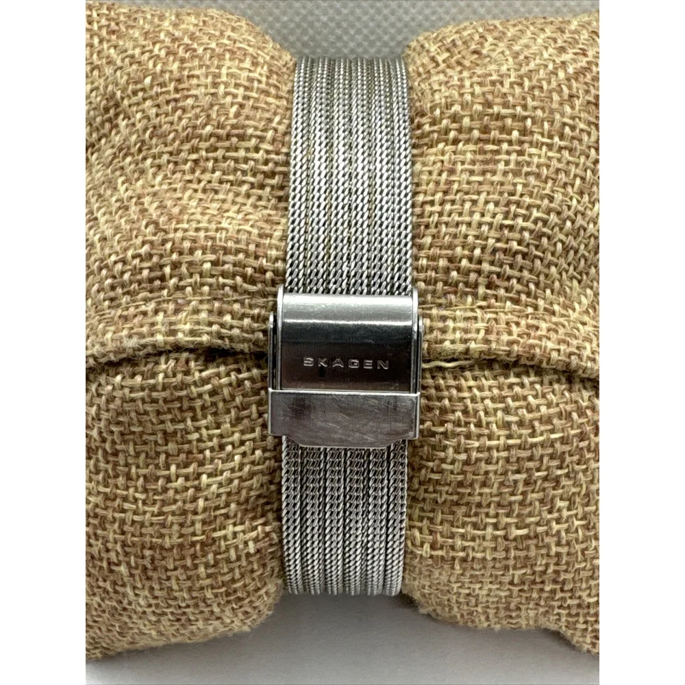 Skagen 355SGSS Women Silver Stainless Steel Mesh Analog Dial Wrist Watch JNA886